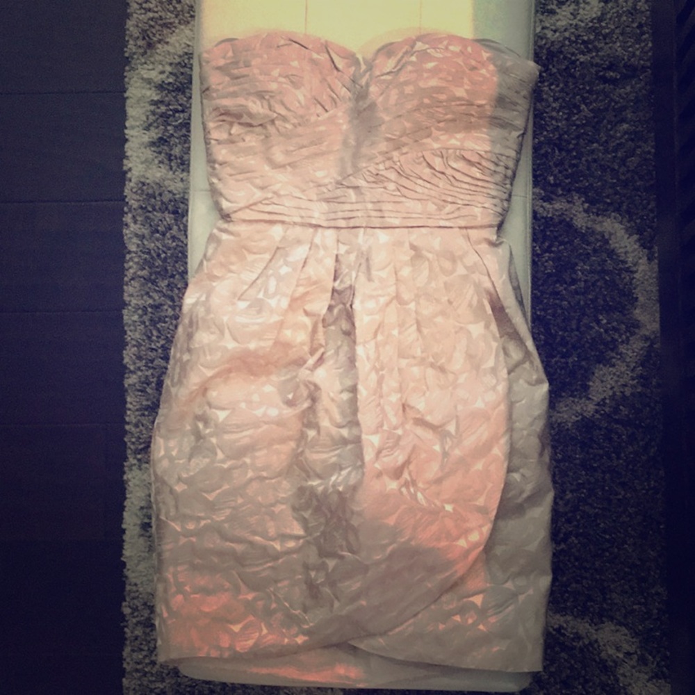 NWT! Max & Cleo-Gorgeous taupe Dress
